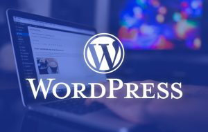 WordPress 6.9 вступил в цикл релизов: старт финальной подготовки крупнейшего обновления CMS
